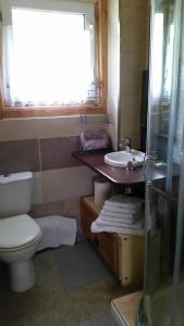 a bathroom with a toilet and a sink at Dom na Mazurach in Spychowo