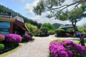 a garden with purple flowers in front of a building at Pensyeon Hai in Chuncheon