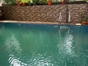 a pool of green water with twoadders in it at iveas beach resort in Calangute