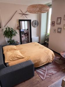 a bedroom with a large bed in a room at Appartement Hedas hyper centre in Pau