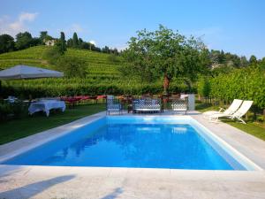 Πισίνα στο ή κοντά στο Agriturismo Giorgio Colutta