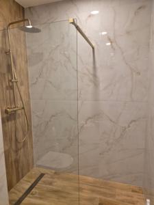 a shower with a glass door in a bathroom at Baltic Essence Apartamenty 2 in Przewłoka