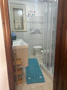 a bathroom with a shower and a sink and a toilet at Domo Mea in Cardedu