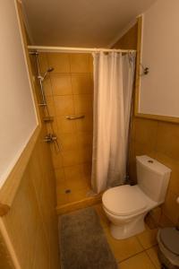 a bathroom with a toilet and a shower with a curtain at Amoni Holiday Homes in Kardamili +33 photos