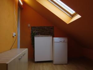 an attic kitchen with a refrigerator and a skylight at Apartment Nad Punkvou in Těchov
