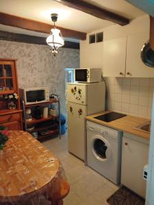 a kitchen with a refrigerator and a washing machine at Maison de Vacances Renno in Renno