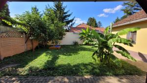 a yard with a fence and a small tree at Tuba Apartman in Kiskunhalas