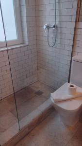 a bathroom with a shower and a toilet in it at Apartamento ideal en Málaga in Málaga