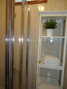 un bagno con doccia e asciugamano di Apartamentos Acevedo Centro a Ronda Altre 44 foto