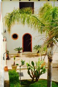 サンタ・マリア・デル・フォカッロにあるCaposud Residence and Beach Clubのヤシの木と黒いドアのある中庭