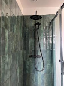 a shower with a shower head in a bathroom at Coeur de ville rue de la Paix in Laval +78 photos