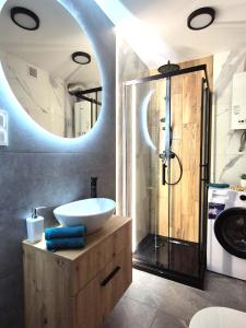 a bathroom with a sink and a shower with a mirror at Tabago Studio 37 Wodzisław in Wodzisław Śląski
