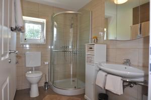 ein Bad mit einem WC, einem Waschbecken und einer Dusche in der Unterkunft Ferienhäuschen am Traunsee in Altmünster