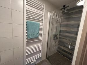 a bathroom with a shower with a blue towel at NEU! Apartment Engel in Weilburg