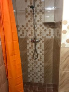 a shower with a glass door in a bathroom at Erika-Vendégház in Poroszló +18 photos