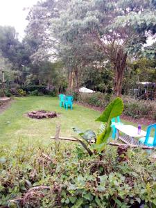 Gallery image of SOFA CAMP Naivasha in Naivasha