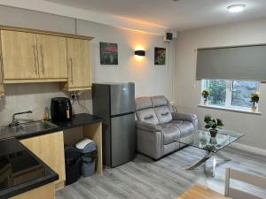a kitchen and living room with a refrigerator and a couch at Shamrock Inn in Cork