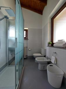 a bathroom with a shower and a toilet and a sink at Arona - Lake Maggiore Entire Home - parking in Arona