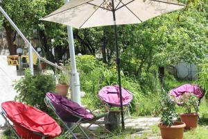 Zahrada ubytování Villa Gabliani