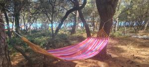 シムニにあるApartments BEVANDAのギャラリーの写真