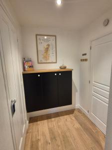 a hallway with a black cabinet in a room at L'Olivier Studio Cosy & Calme Idéal Duo ou Pro in Trévoux
