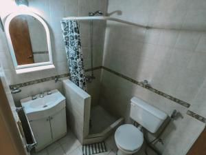 Un baño pequeño con inodoro y lavabo. en Gala Austral, en Ushuaia 16 fotos más