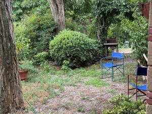 Galeriebild der Unterkunft Iorio's Country House in Montefiascone