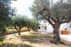 a row of olive trees in a yard at Finca Les Oliveres in Benissa