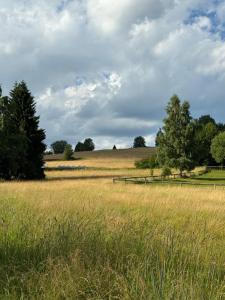 a field of tall grass with a fence and trees at Chata Monika in Frymburk