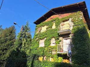 a building covered in green ivy with a balcony at Dinky's apartment with a balcony overlooking the woods in Magreglio +4 photos