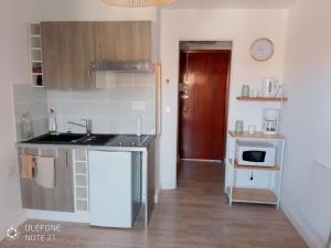 瓦洛里Studio cosy proche des plages de Golfe Juan的带水槽和微波炉的小厨房