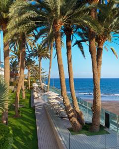 a row of palm trees next to the beach at Don Gregory by Dunas - Adults Only in San Agustin