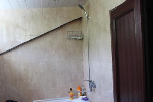 a bathroom with a shower and a tub and a sink at Villa Gabliani in Mestia