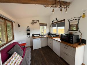Η κουζίνα ή μικρή κουζίνα στο Tiny house bord de l'étang - Iri