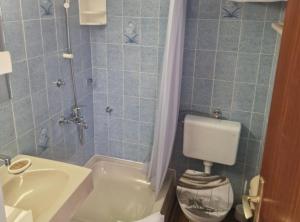 un bagno con lavandino, WC e doccia di Rooms by Robi Novigrad a Novigrad (Cittanova)