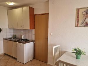 Küche/Küchenzeile in der Unterkunft Apartments Marina