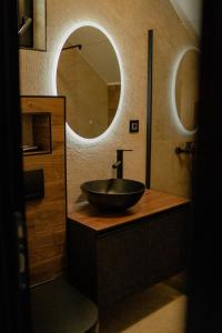 a bathroom with a bowl sink and a mirror at Bio Resort Čičkova in Arilje +9 photos