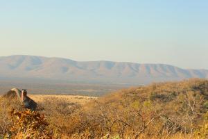 una vista de una colina con montañas en el fondo en Bushtime at Mabula, en Bela-Bela