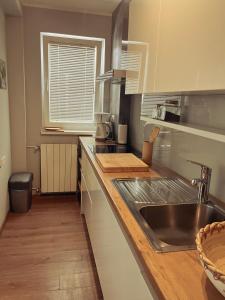 Kuchyň nebo kuchyňský kout v ubytování Modern and Elegant Apartment in a Quiet Part of Pula
