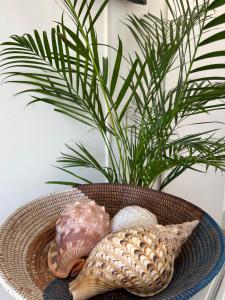 帕雷迪MAR VERDE - Parede-Cascais的桌子上放着一盘贝壳和一株植物