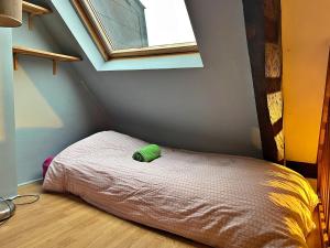 un piccolo letto in una stanza con una finestra di Le Cocon Douillet a Rouen