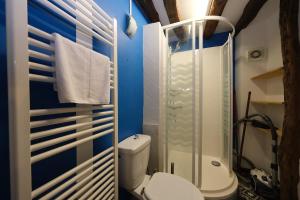 un bagno con wc e doccia in vetro di Le Cocon Douillet a Rouen Altre 10 foto