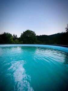 ein großer Pool mit blauem Wasser und Bäumen im Hintergrund in der Unterkunft Conacul Perla Bratiei in Cîndeşti