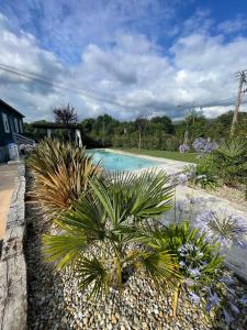 a swimming pool with palm trees in a yard at A Casa da Carminha, Ribeira Sacra in Pereiro de Aguiar