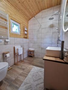 a bathroom with a sink and a toilet at Domek Park Korzonek in Korzonek +28 photos