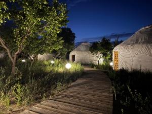 a walkway leading to two yurt tents in a field at BarBulak Yurt Lodge in Bar-Bulak