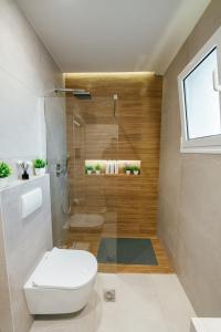 a bathroom with a toilet and a shower at The viewpoint loft in Korinthos
