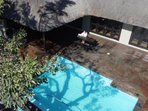 Gallery image of Kokobela Lodge in Phalaborwa
