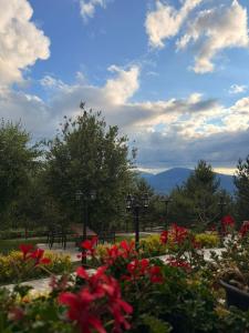 Fotografie z fotogalerie ubytování N'Bjeshke te guri i zi v destinaci Prizren