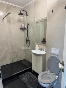 Koupelna v ubytování Apartament Grace